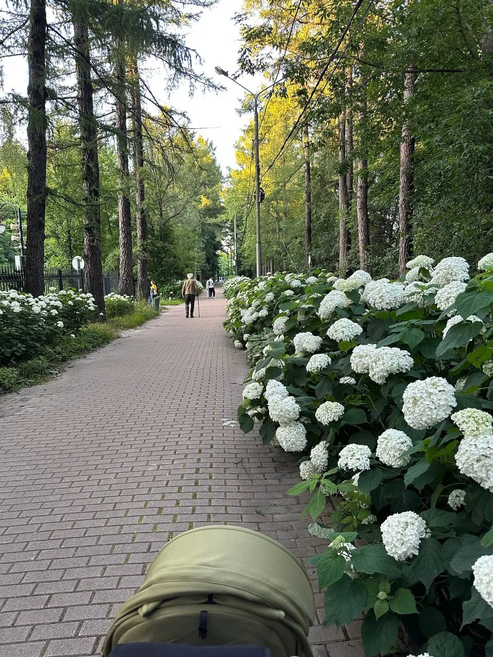 Я тут пишу гайд осенний