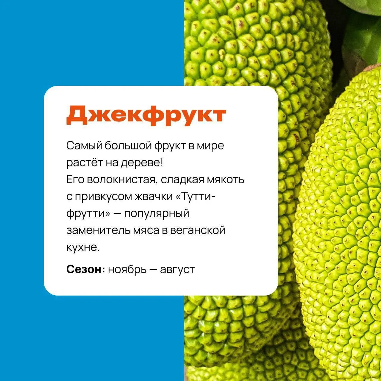 Гайд по тайским фруктам 🥭