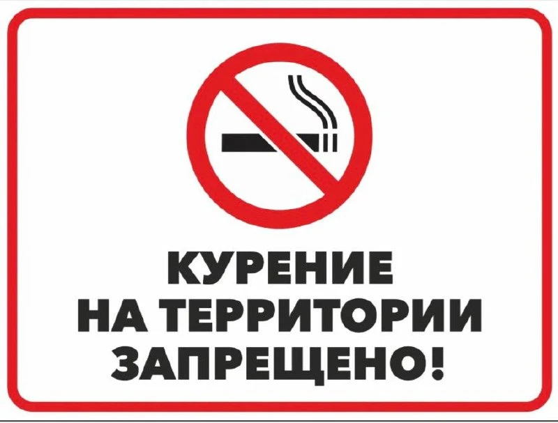 Чукотка почти не курит. Минздрав России поставил арктический регион на второе место в стране по наим