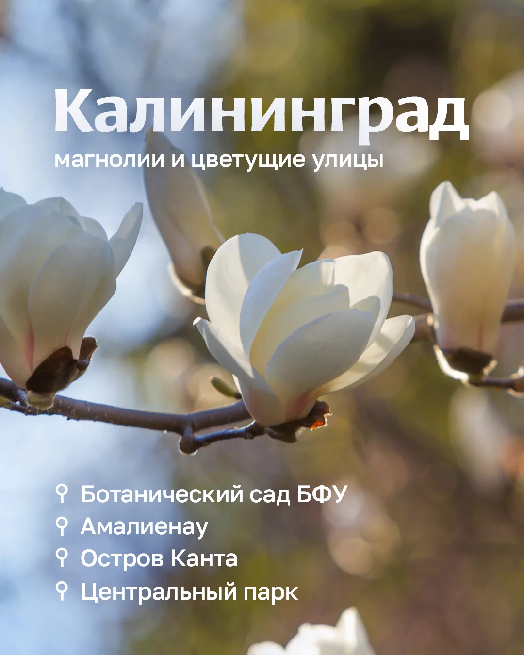 Можно оставить всё как есть, а можно — немного переключиться  Поздравляем с 1 Мая! Пусть эти выходны