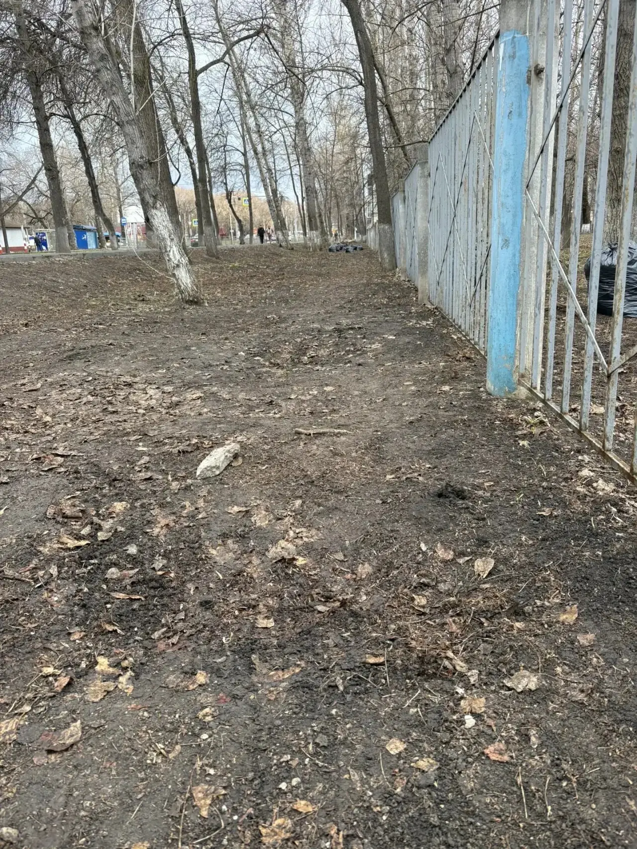Кто сказал, что субботник — это скучно? Только не у нас! 🍂  Сегодня школьная территория 2 корпуса пр