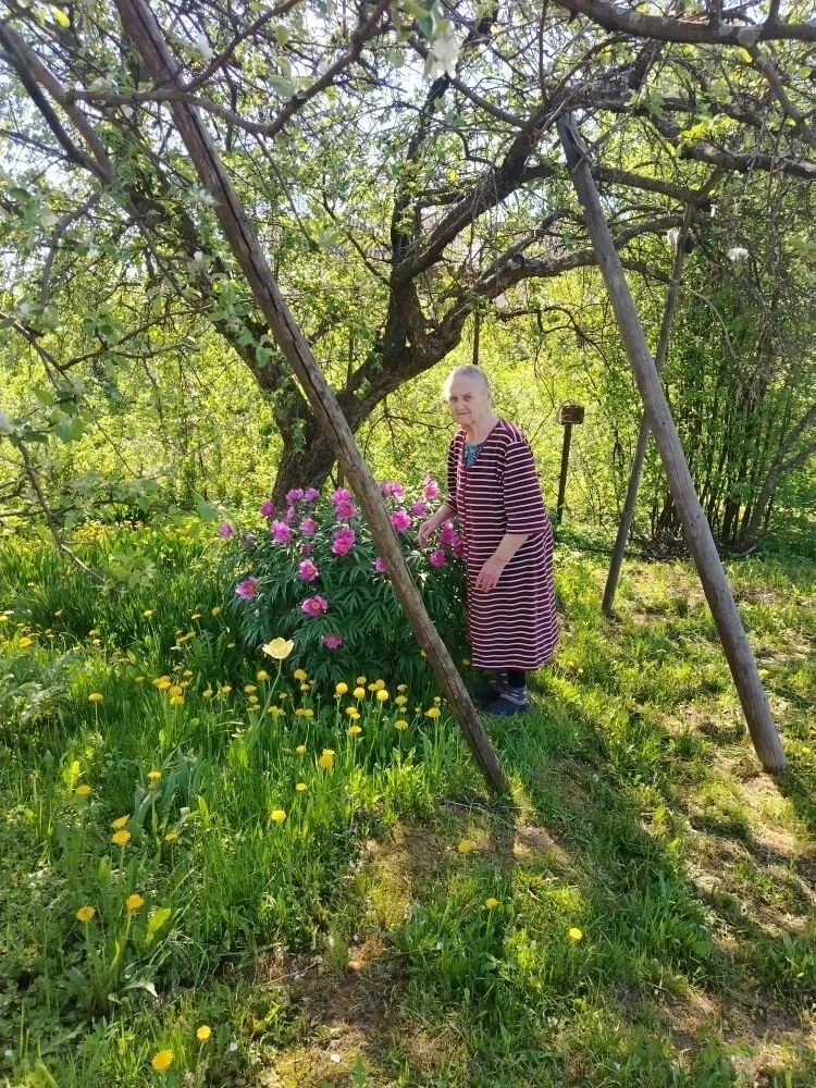 🌻🌺🌹С первыми летними лучами солнца сады у наших обслуживаемых ожили и заиграли яркими красками.

