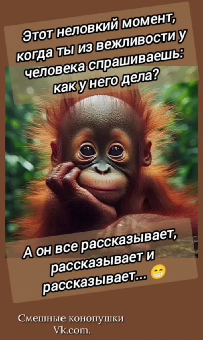 Ибо нефик спрашивать😀