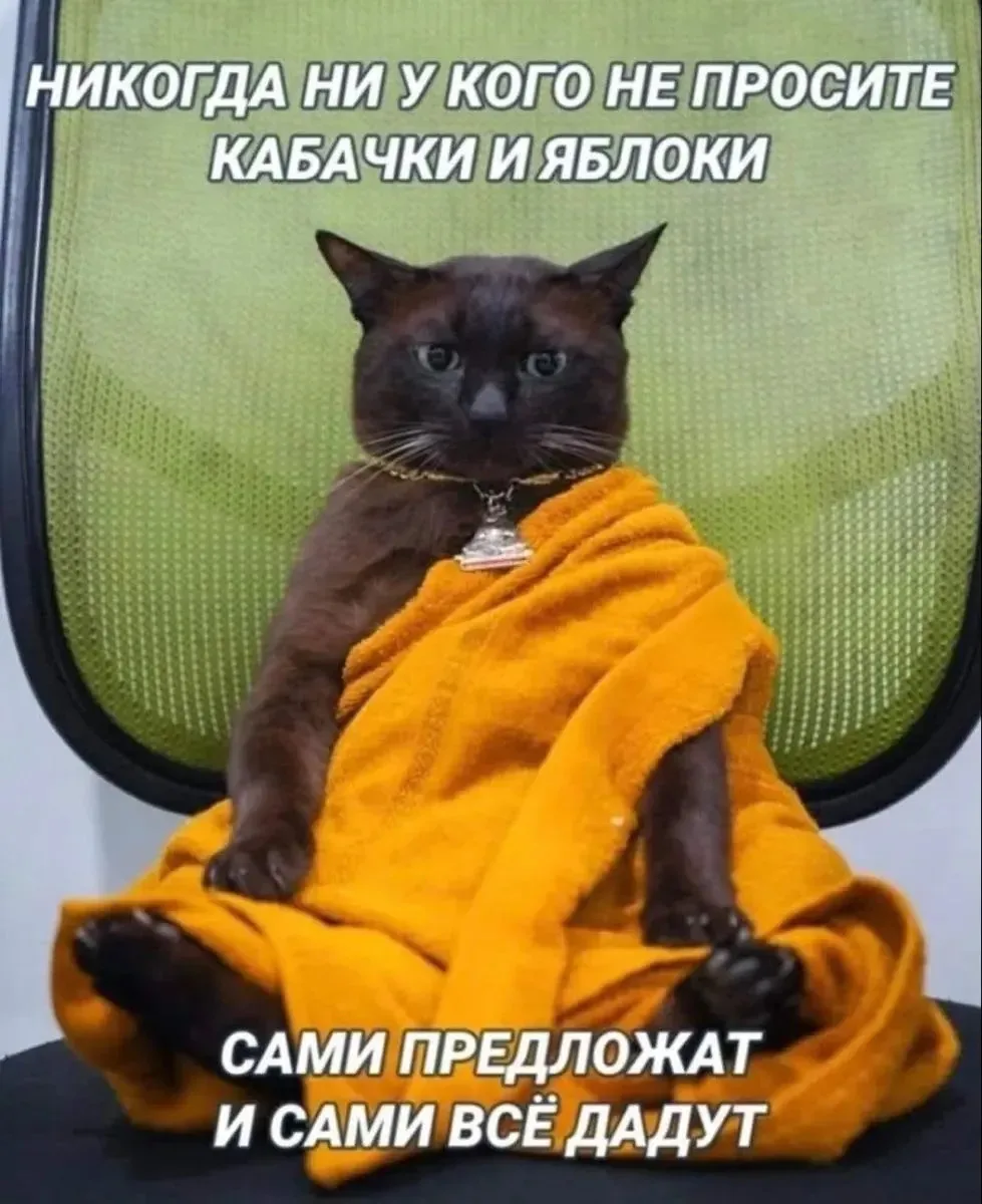 Что-то в этом году не работает схема 😆