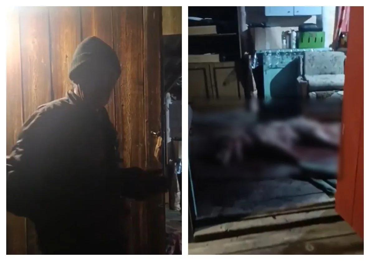 🤯«Подставил ладонь ему в пасть»: в Забайкалье пастух голыми руками отбился от волка на...