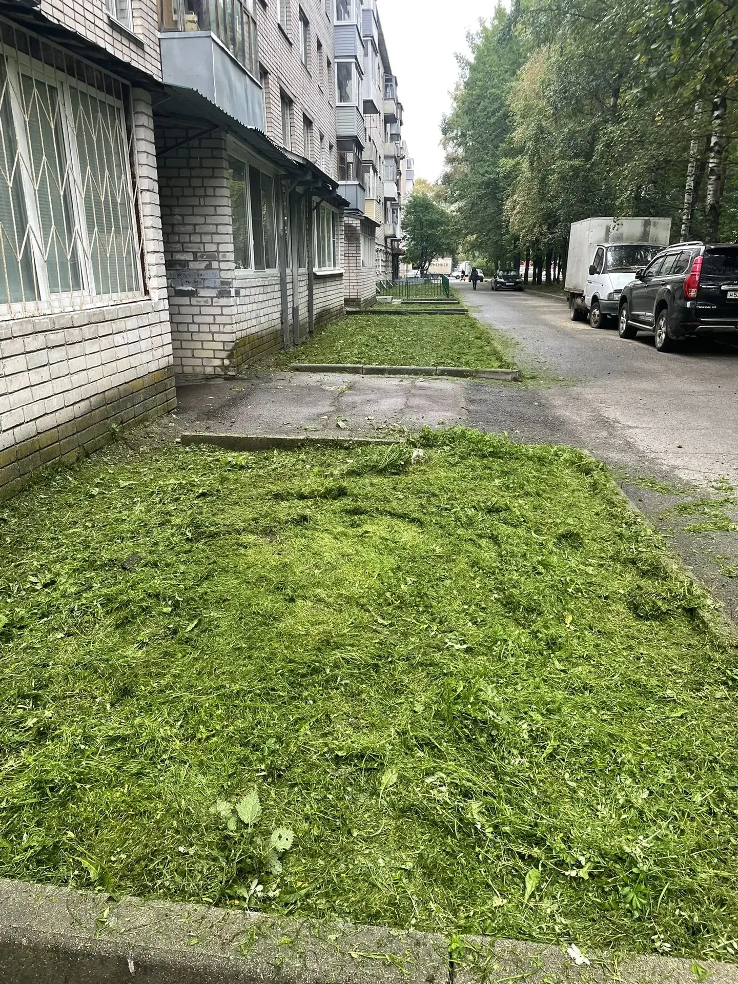 ✅Произведен покос травы в 1 мкр. ГПЗ-23, д. 5