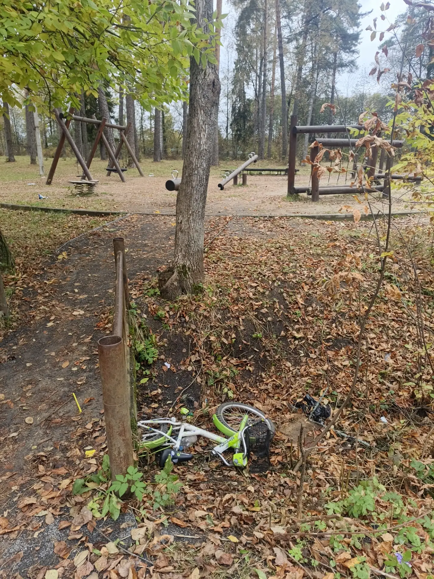 Чей потеряшка. В парке