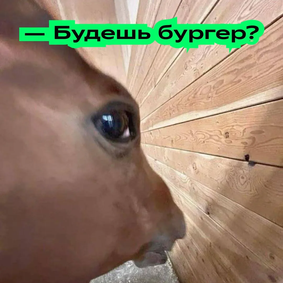 POV: ты после планового закупа продуктов на неделю.

Продержался целых два дня. Дальше в дело вступи