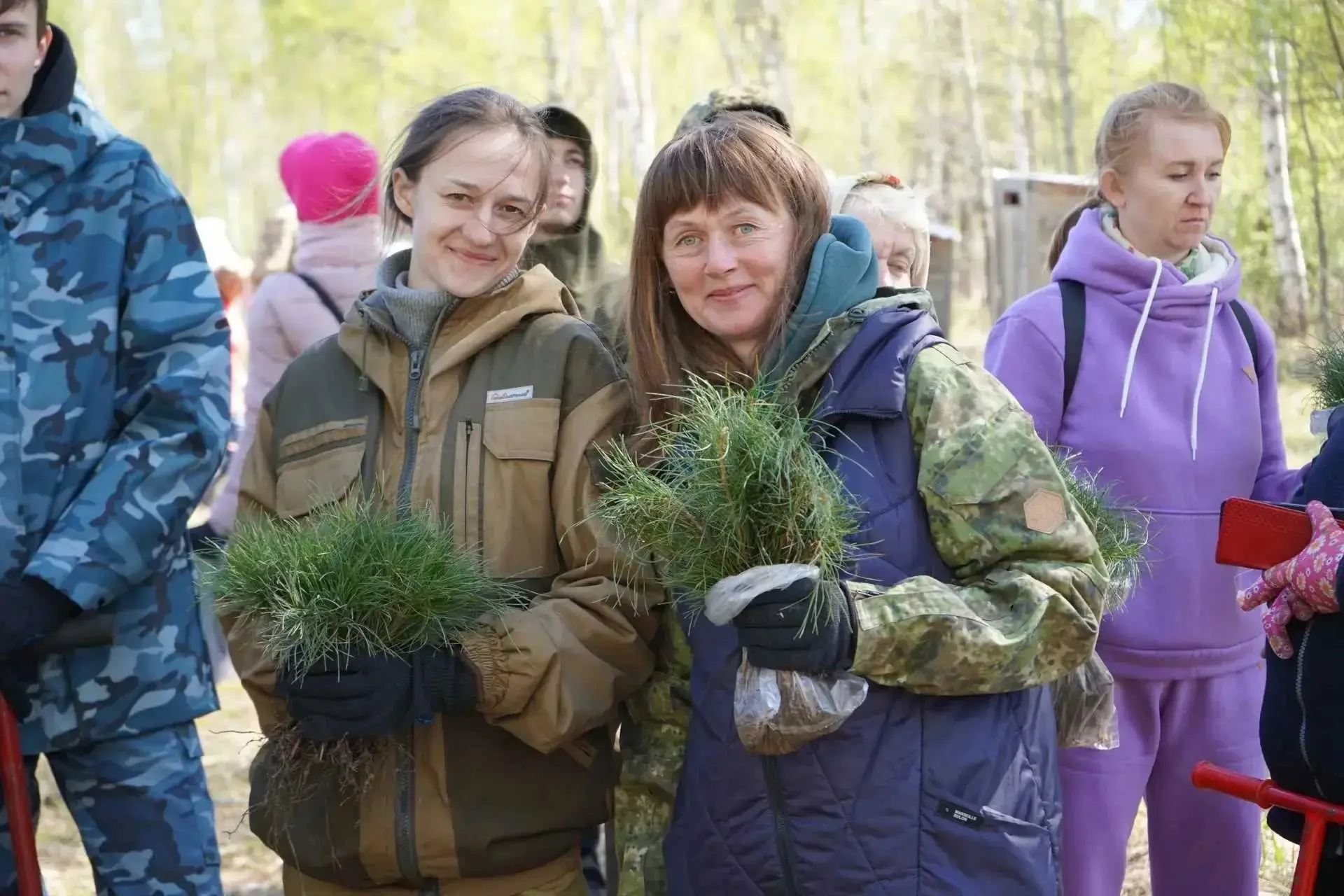Кедровый «Сад памяти» 🌳  Студенты и преподаватели кафедры лесного хозяйства Университета биотехнолог