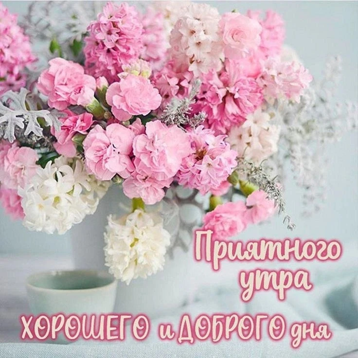 🌿🌸🌿🌸🌿🌸🌿🌸🌿🌸  Пусть солнце тебе улыбается, пусть пение птиц за окном повышает настроение, пусть душа л