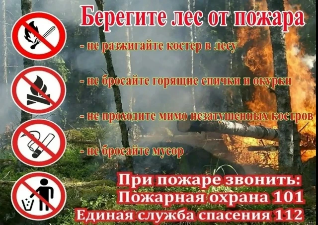 🚫Профилактика лесных пожаров: как не допустить беду