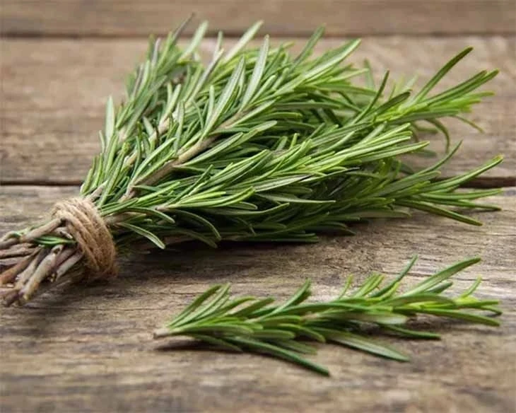 🌿 Розмарин для ясности ума и тонуса кожи