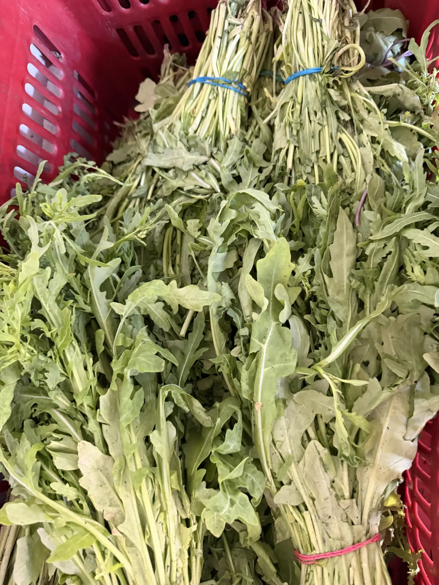 Свежая зелень в наличии 🌿