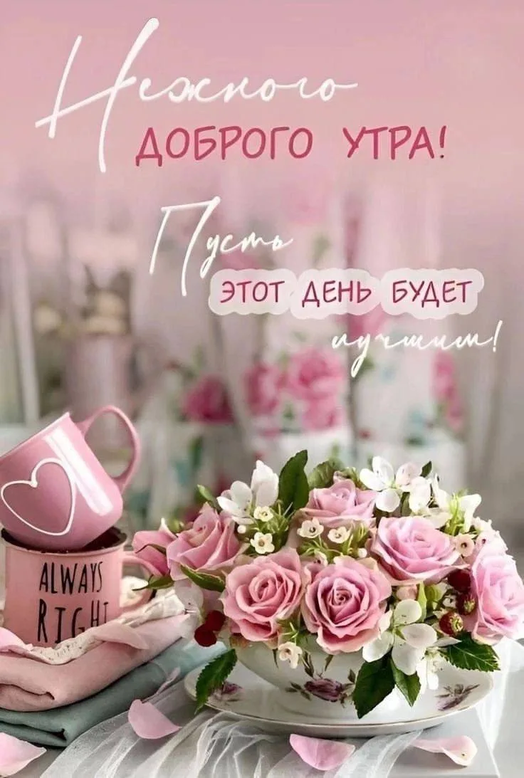 Доброе утро! ☀️

Не спешите проживать этот день. Наслаждайтесь каждым его моментом, ведь именно сего