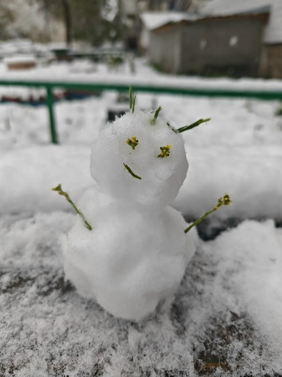 ❄ С первым снегом!