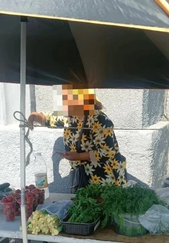 В Новосибирске изъяли 40 кг фруктов и овощей у незаконных торговцев

Специалисты мэрии и полиция про
