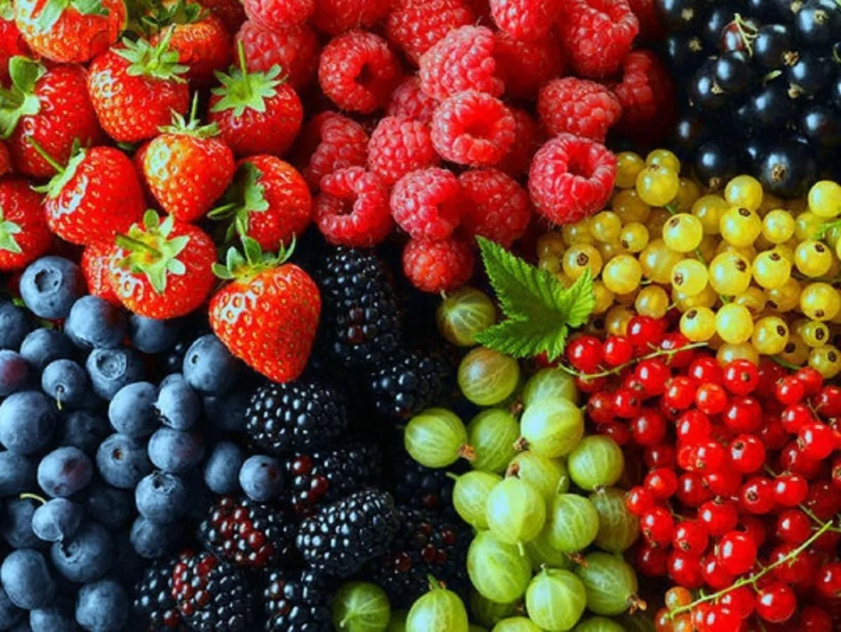 🍒  Летний витаминный бум!

🎓 Член Управляющего Совета, старший методист Титова Юлия Анатольевна, о