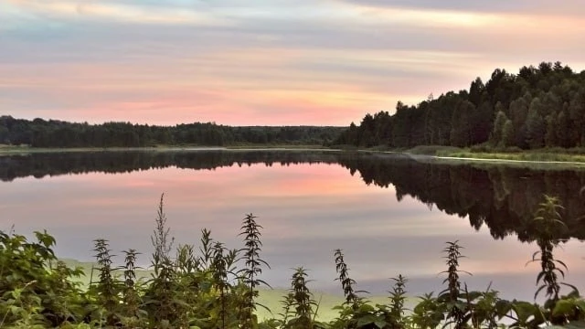🏖 Озеро Старое в Орловском полесье остаётся без пляжа второй год

Излюбленное место для отдыха жите