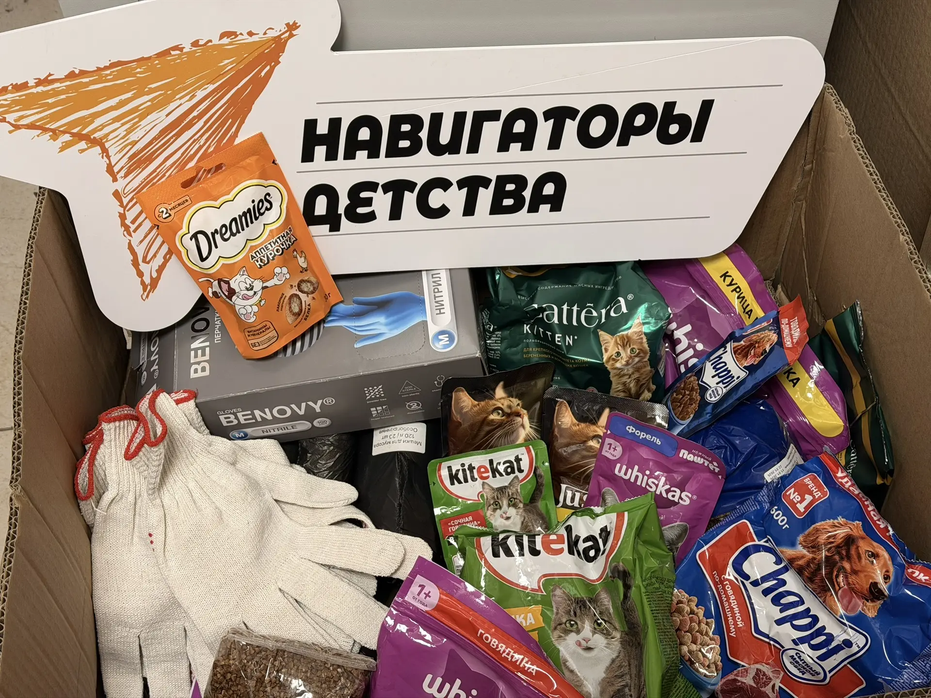 🐾4 октября весь мир отмечает День защиты животных. Это не просто дата в календаре, а н...