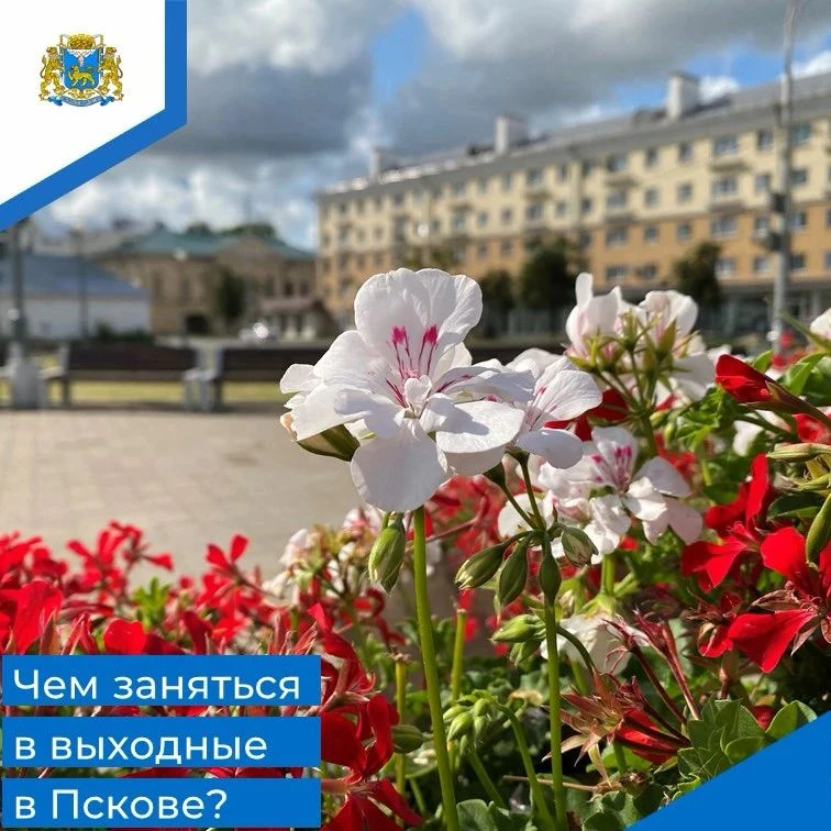 Глава Пскова Борис Елкин анонсировал насыщенные выходные в городе