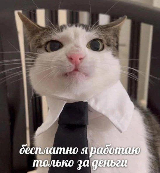 Даже если человек хочет просто списать)

Русичка 📖