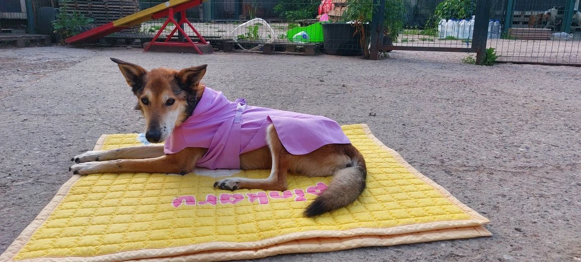 Максюша ❤️❤️❤️
