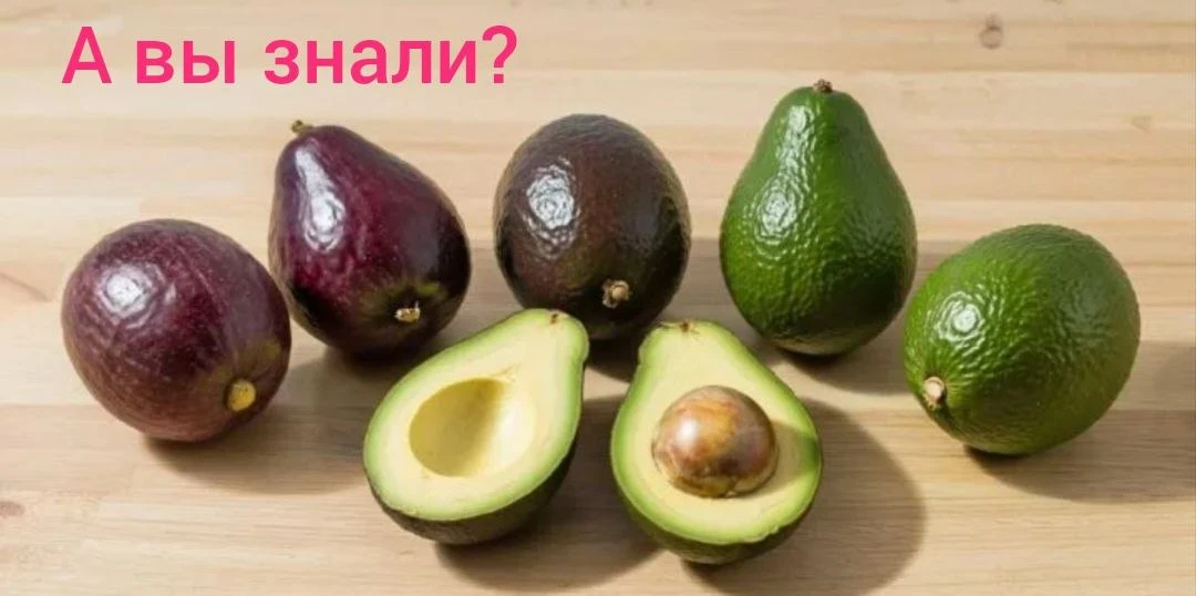 Почему АВОКАДО стал таким популярным и его добавляют во многие блюда?