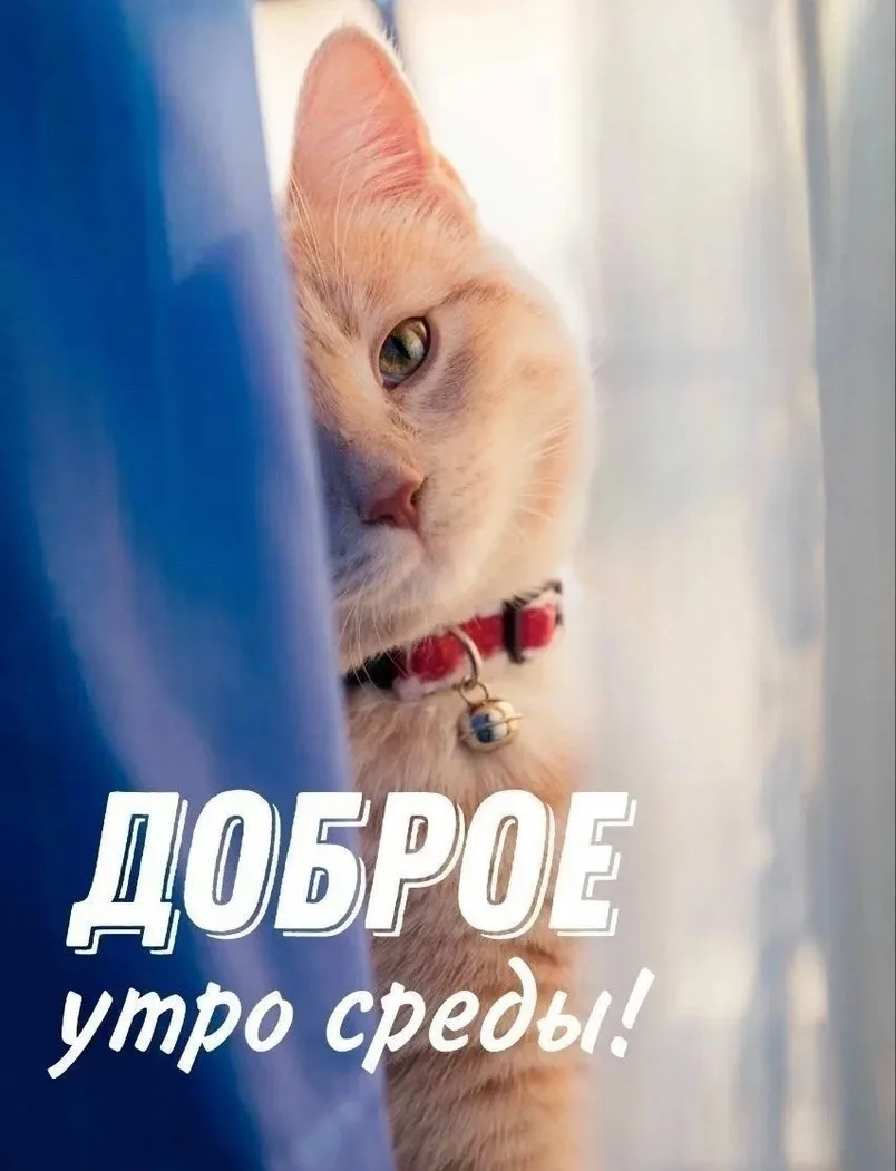 📍 Барнаул
