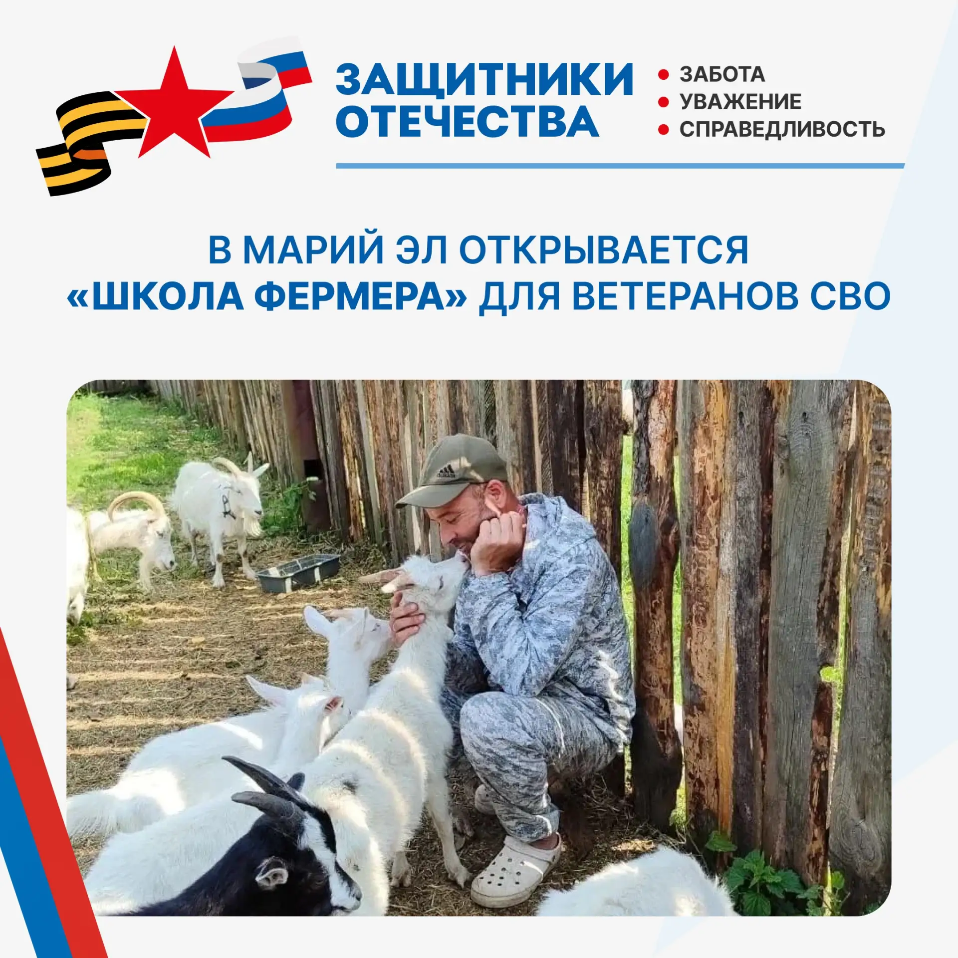 💫 Ветеранам СВО из Марий Эл помогут открыть своё дело в сельском хозяйстве