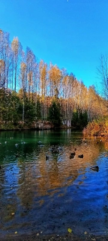 Дендропарк🍁