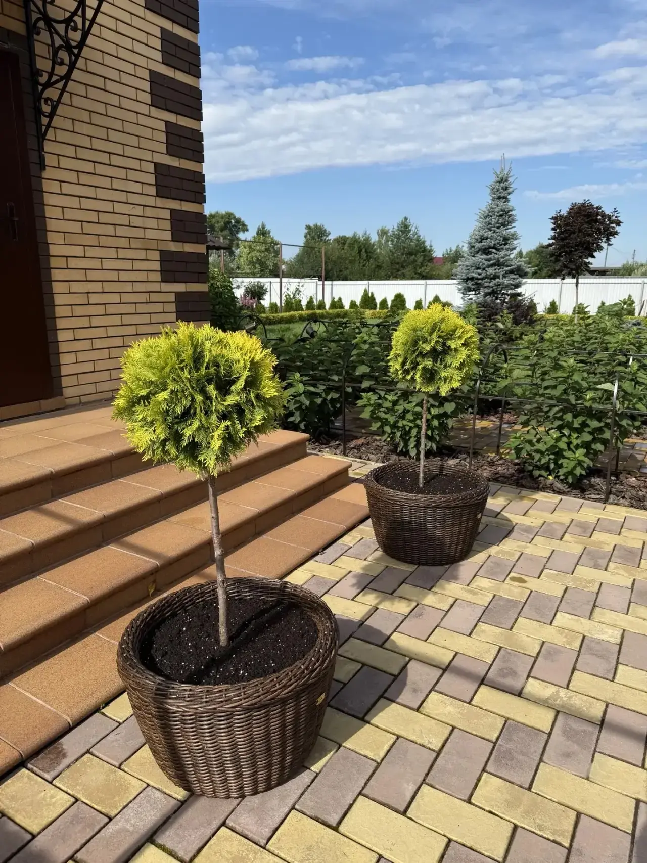 Зеленые шарики🌳 на штамбе в круглых кашпо объемом 60л🥰

Цвет «Бренди»

🪴