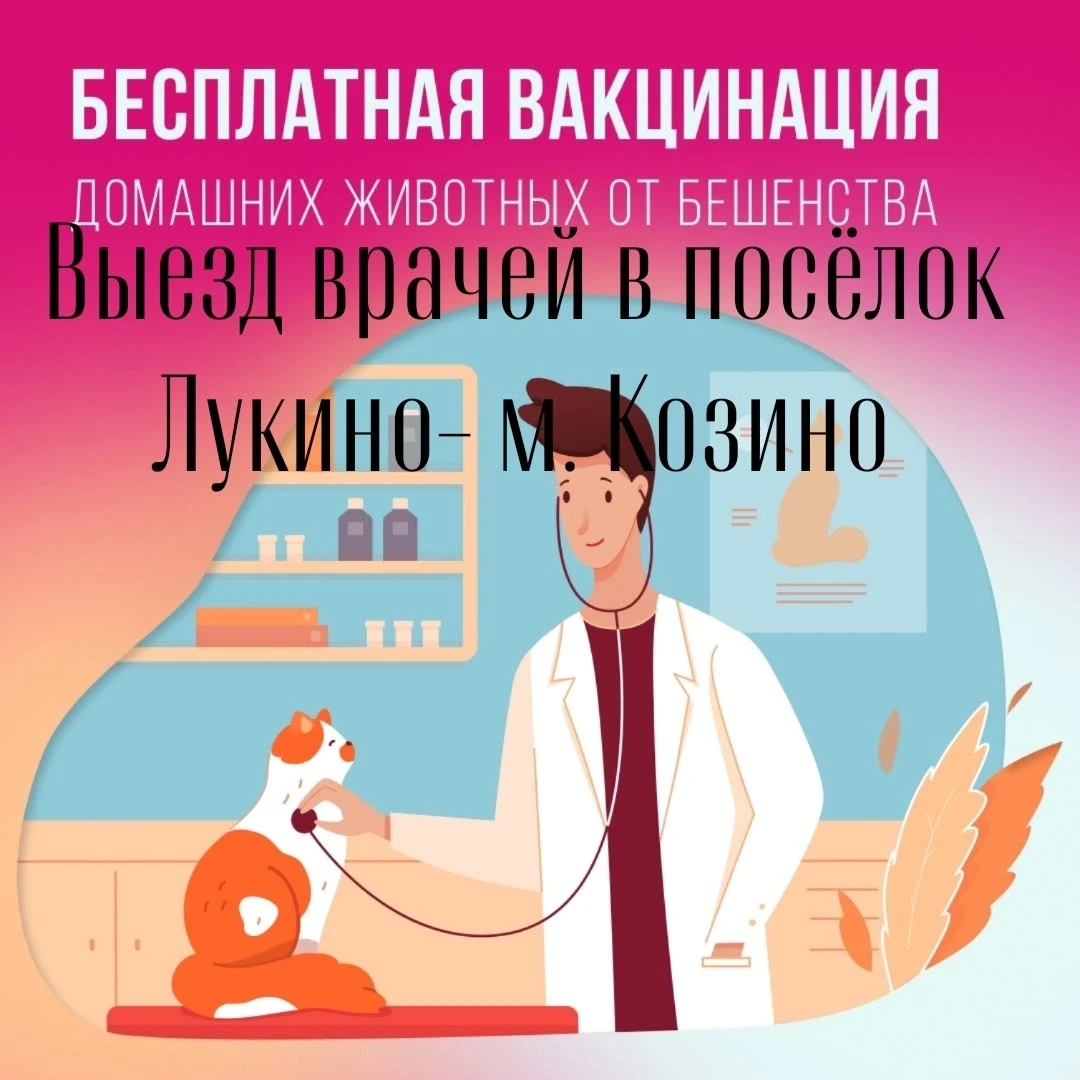 ВНИМАНИЮ Владельцев