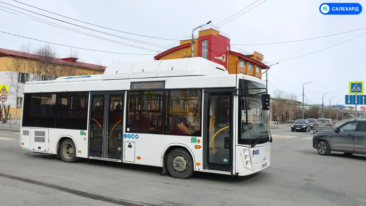 🚌 Средний возраст автобусов на Ямале сократился вдвое за пять лет