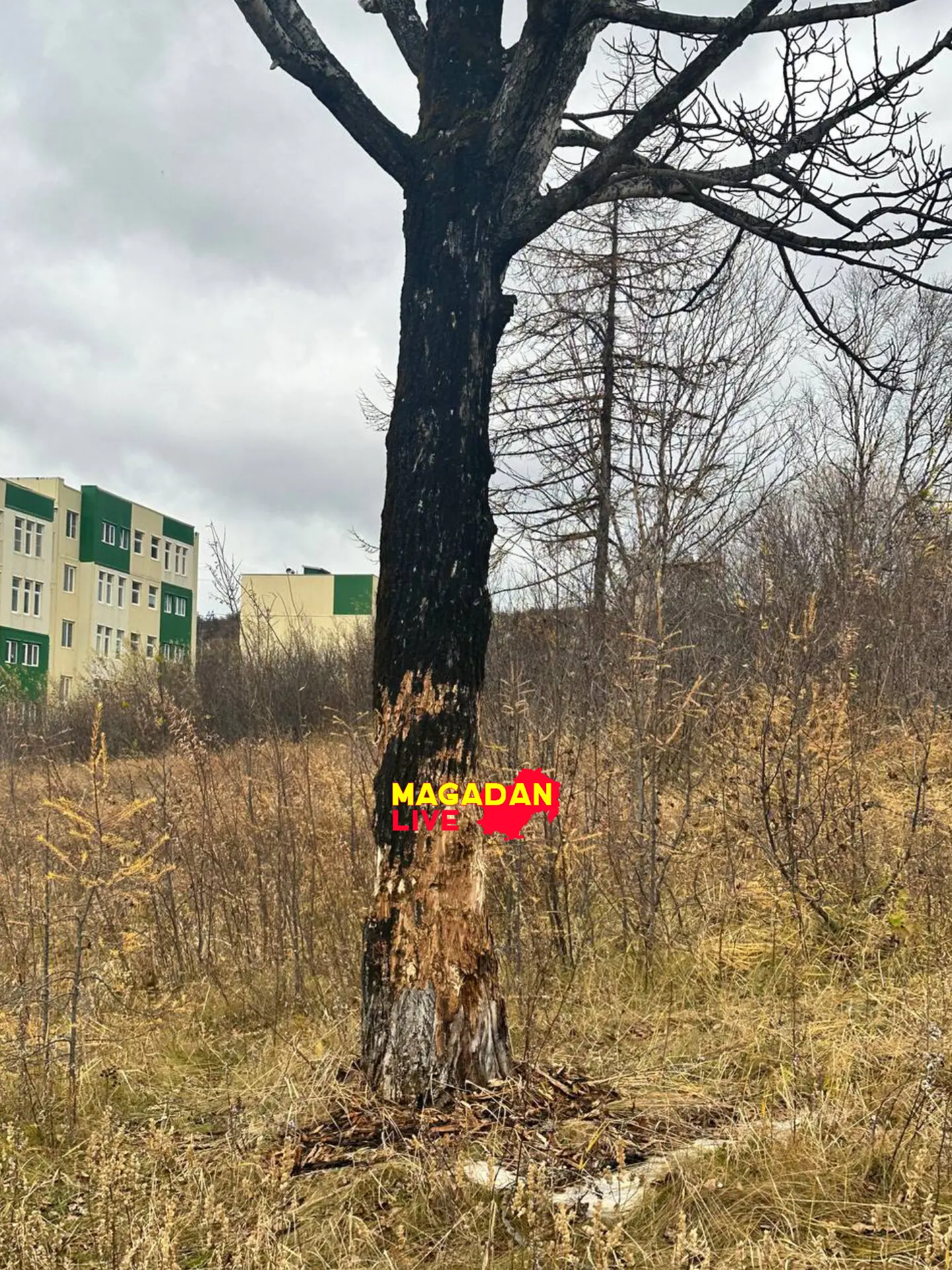 В  2023 были созданы «санитарные зоны» вокруг населенных пунктов области . По словам вл...