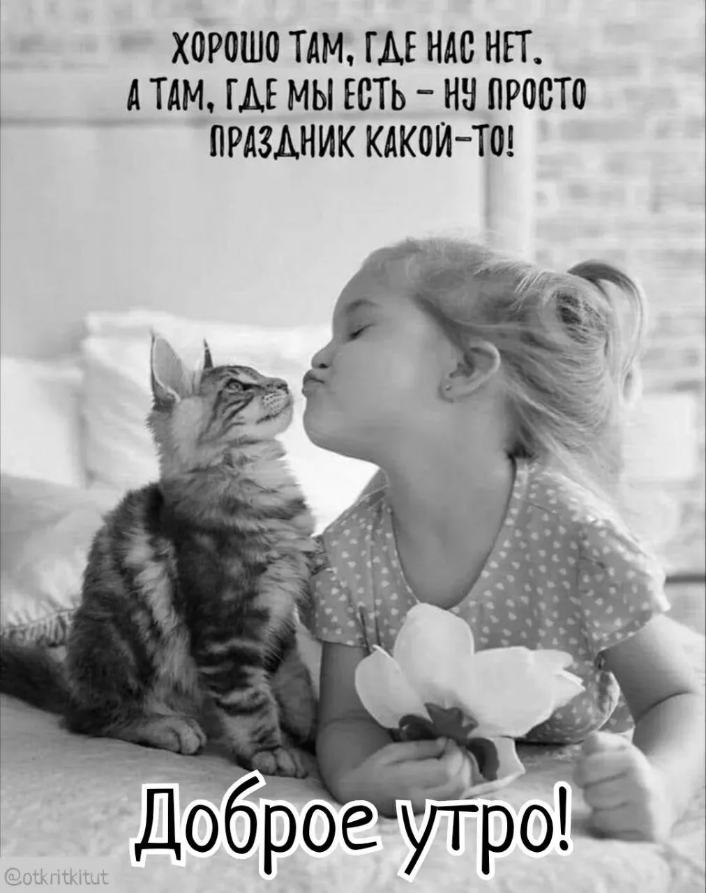 Доброе утро