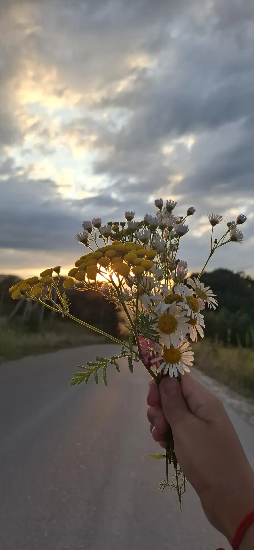 👋🏼 Привет Динской из горной Адыгеи передаёт наша подписчица ☺️

📨 Прислать новость