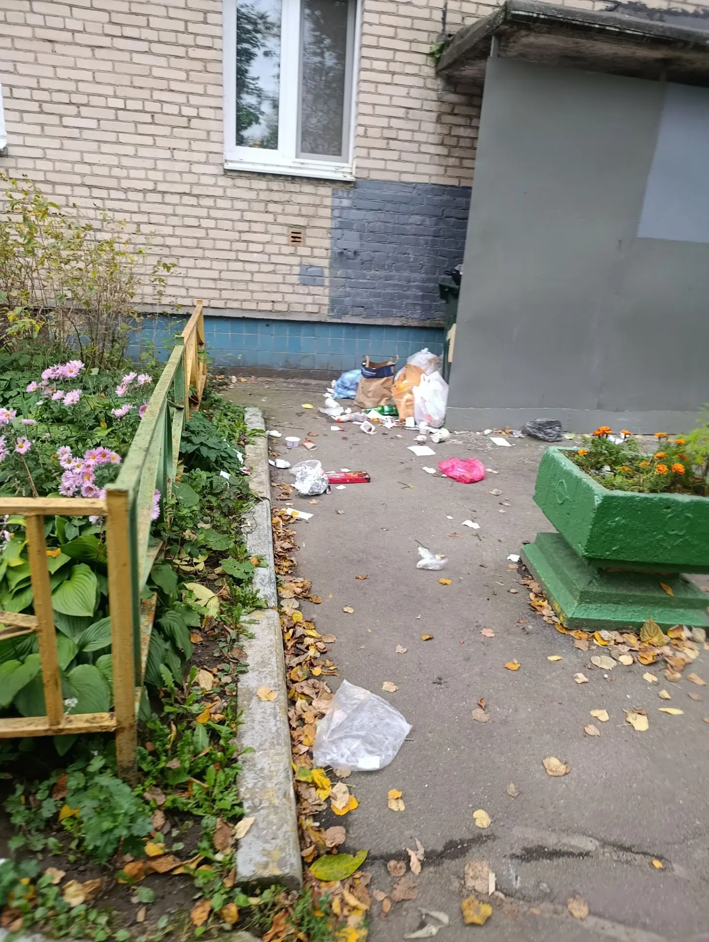 От подписчика: