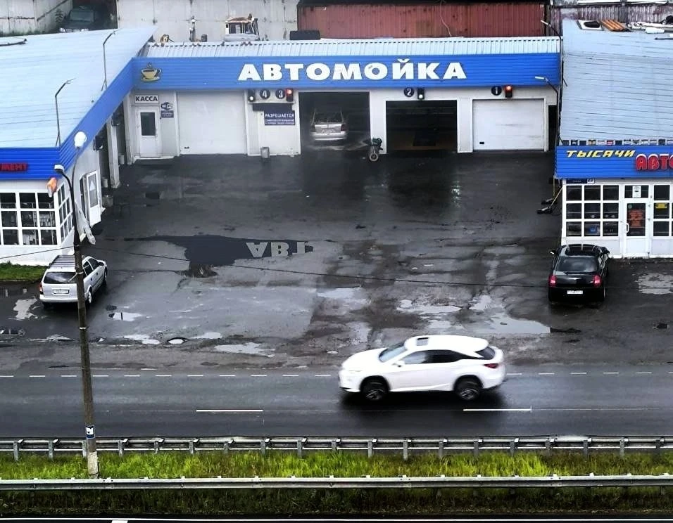 Найди тираннозавра на фото
#черноголовка