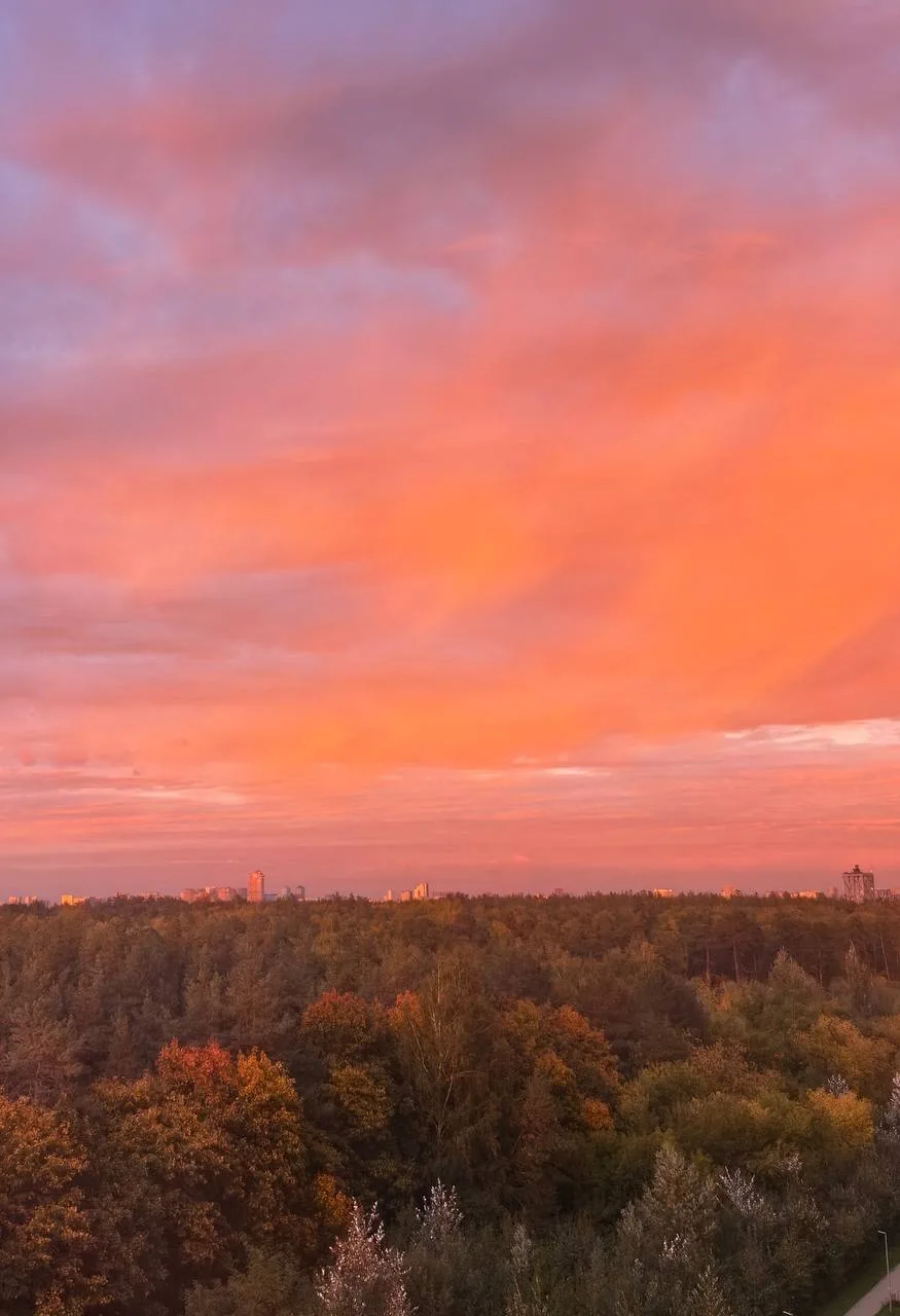 Прекрасные виды Филевского парка 😍