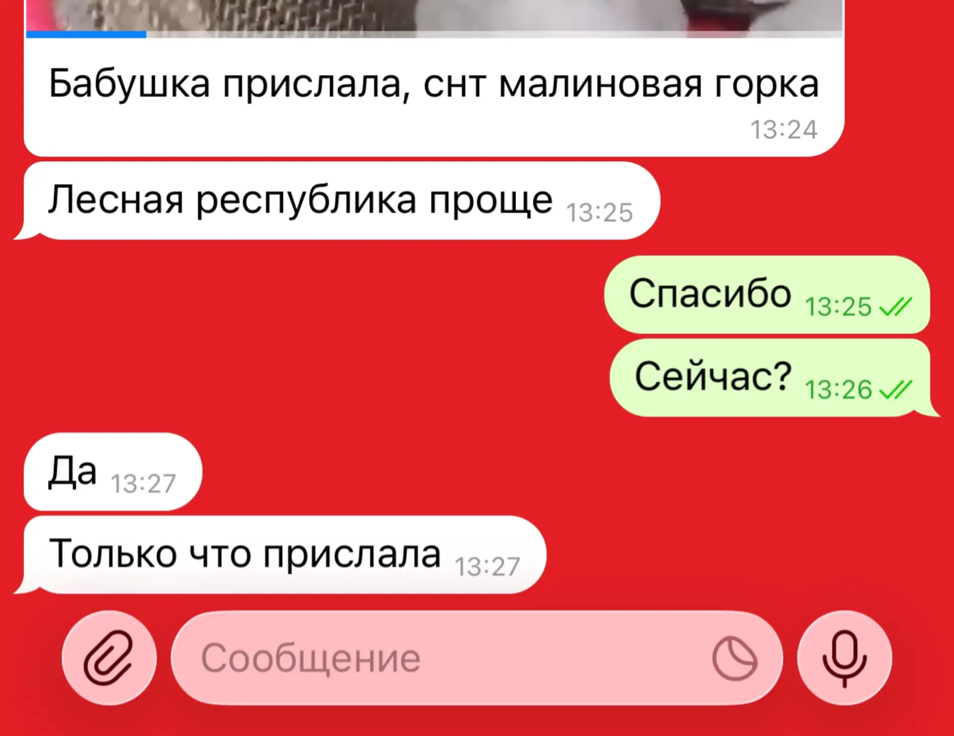 ⛄️ УДИВИТЕЛЬНЫЕ ПОСЛЕДСТВИЯ ГРАДА!