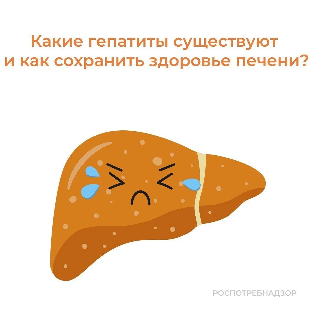 Вирусный гепатит – это воспаление печени, вызываемое вирусами А, В, С, D и E. Вирусные ...