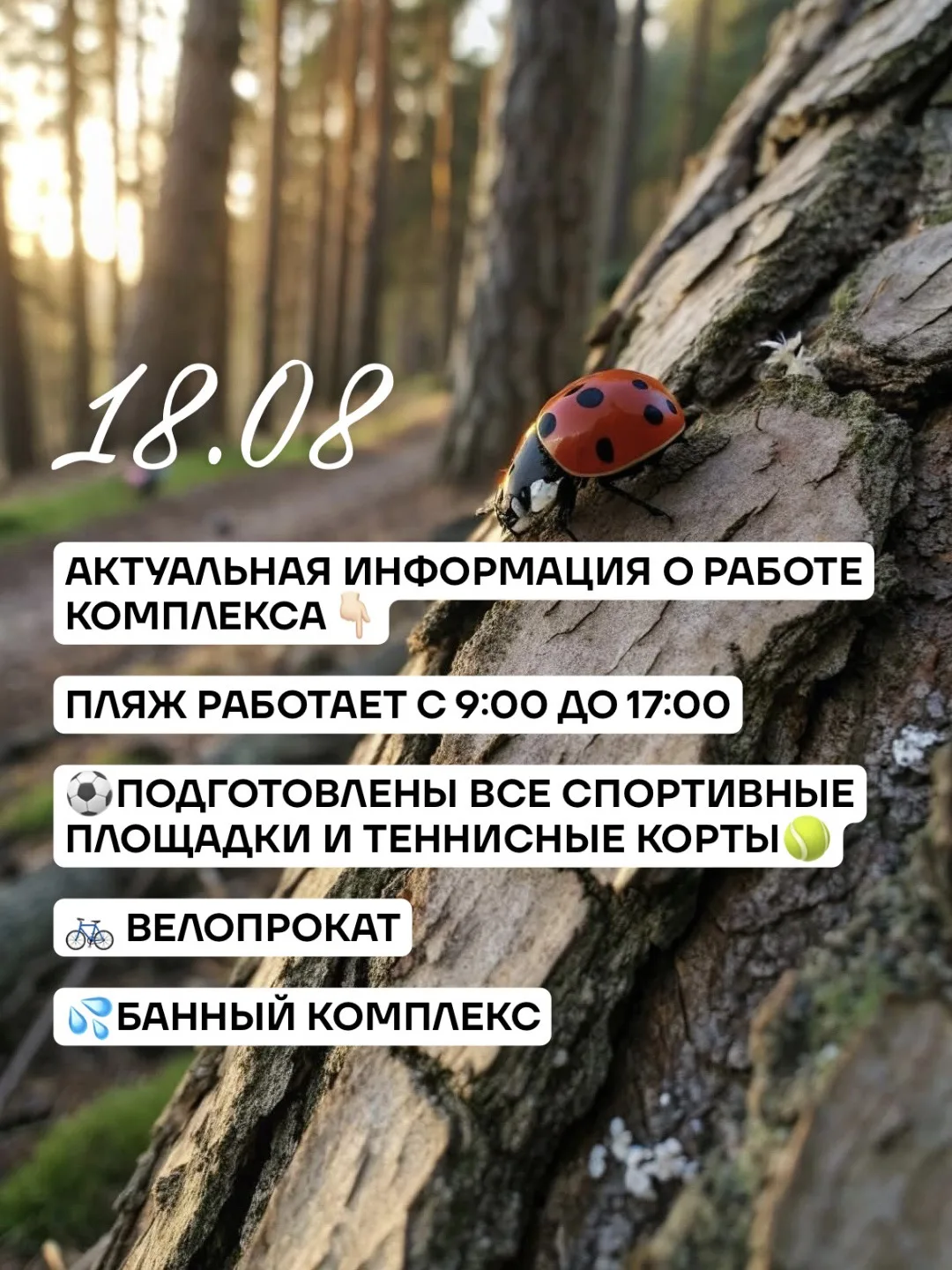 🌿 +17 °C — отличный день для отдыха в Чекериле!