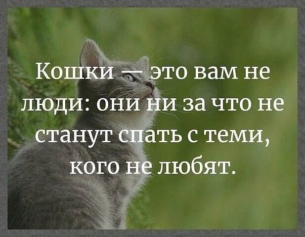 Доброй ночи 🌙