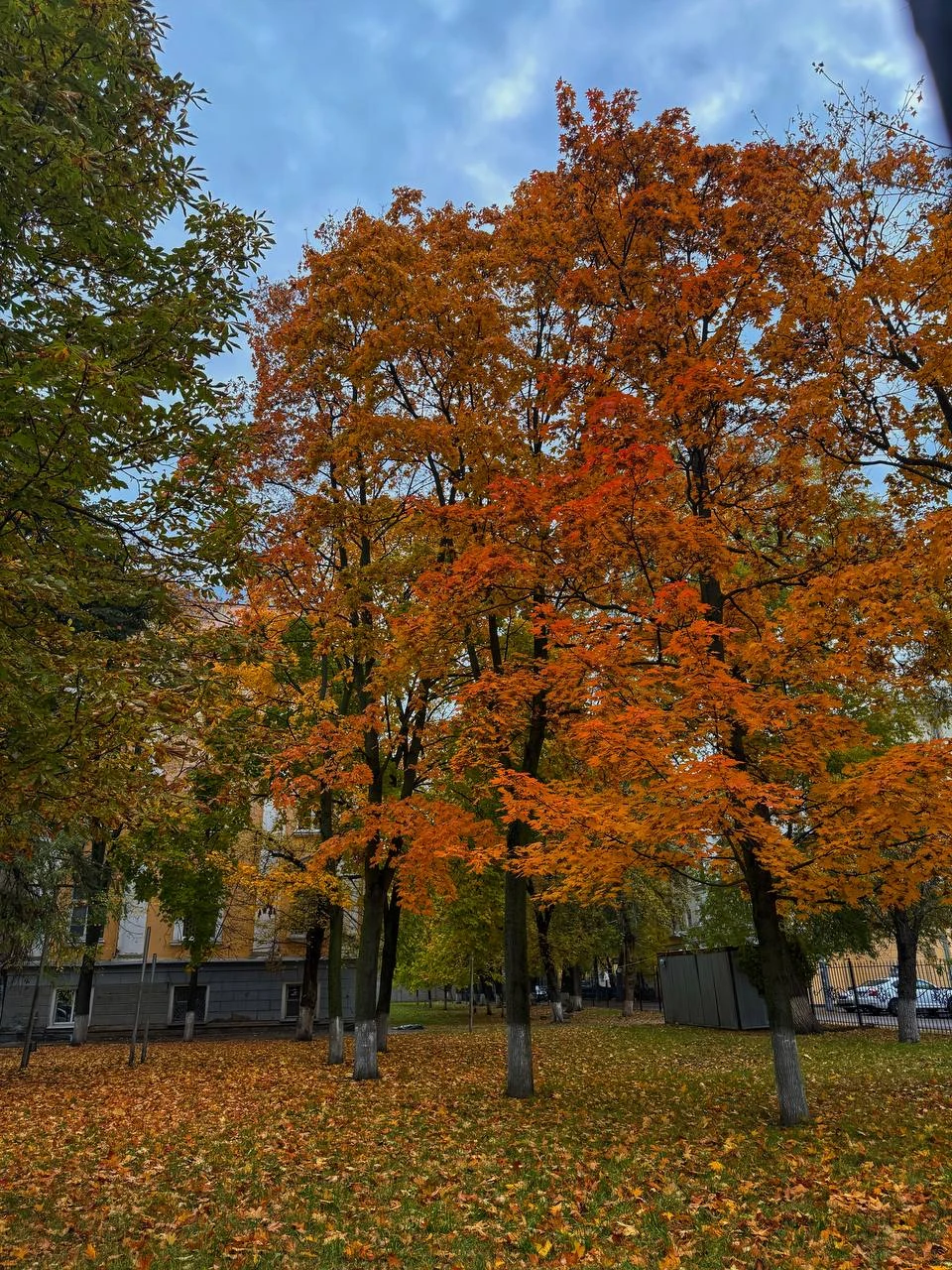 Какая красота на улице! 😍