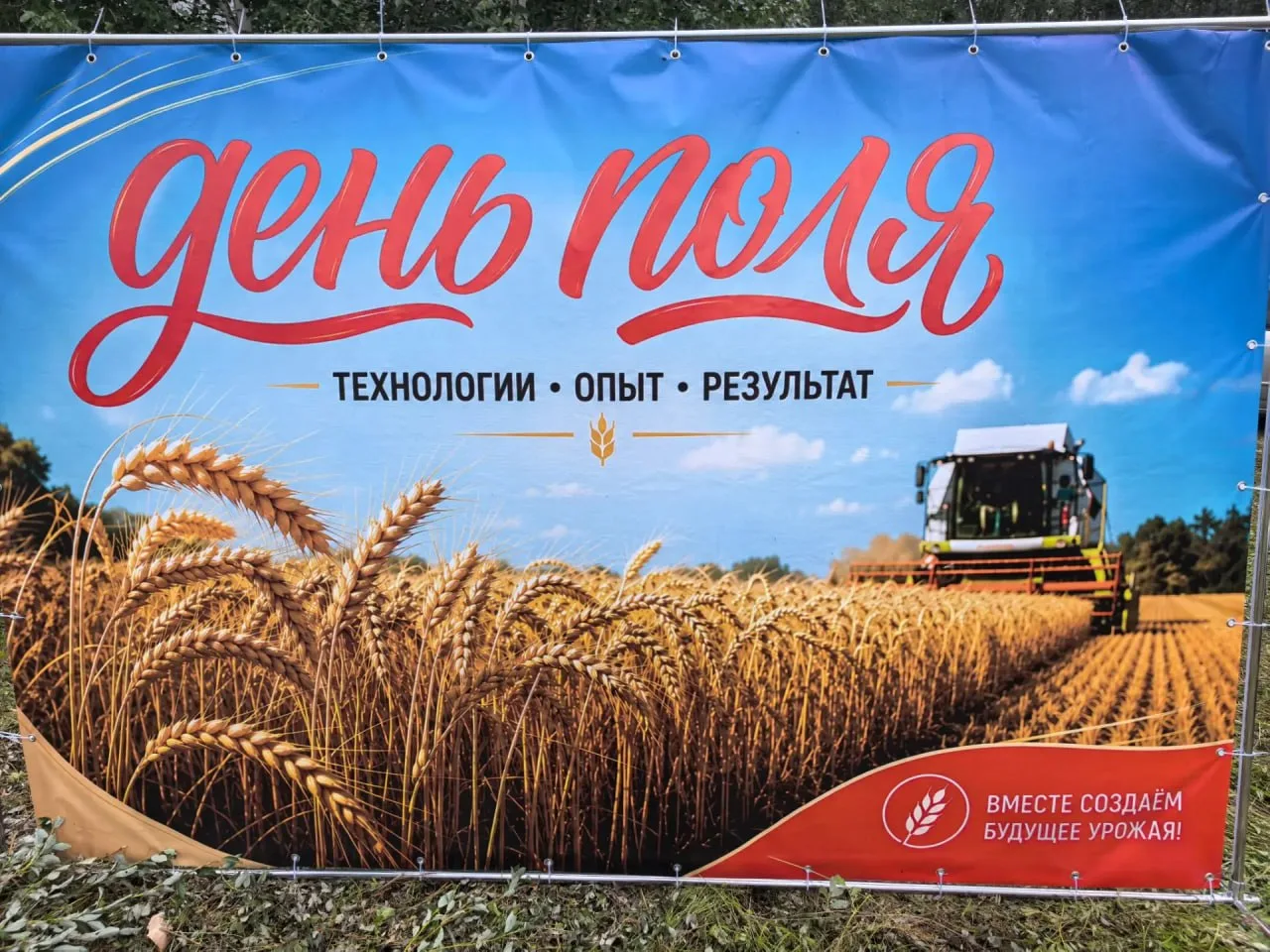 День Забайкальского поля-2026 открылся сегодня, 31 июля, в селе Верхний Умыкэй, что в Н...