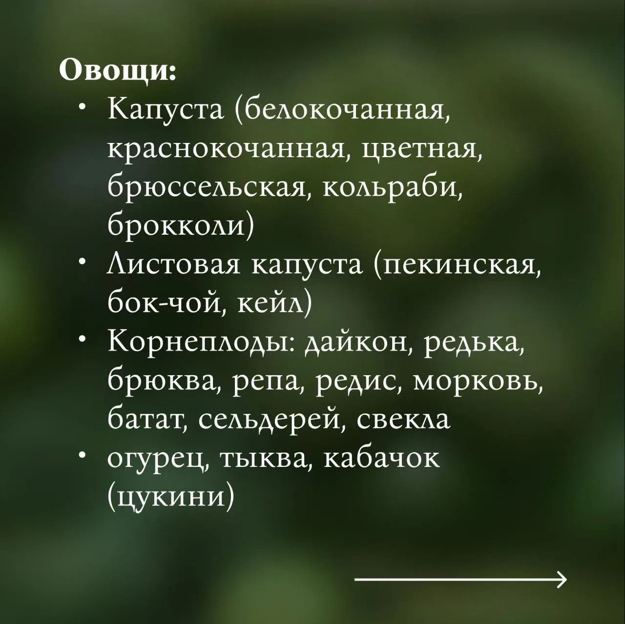 Овощи — это не только помидоры и огурцы 🙃
Хотя именно их я вижу в тарелках клиентов чаще всего. Как