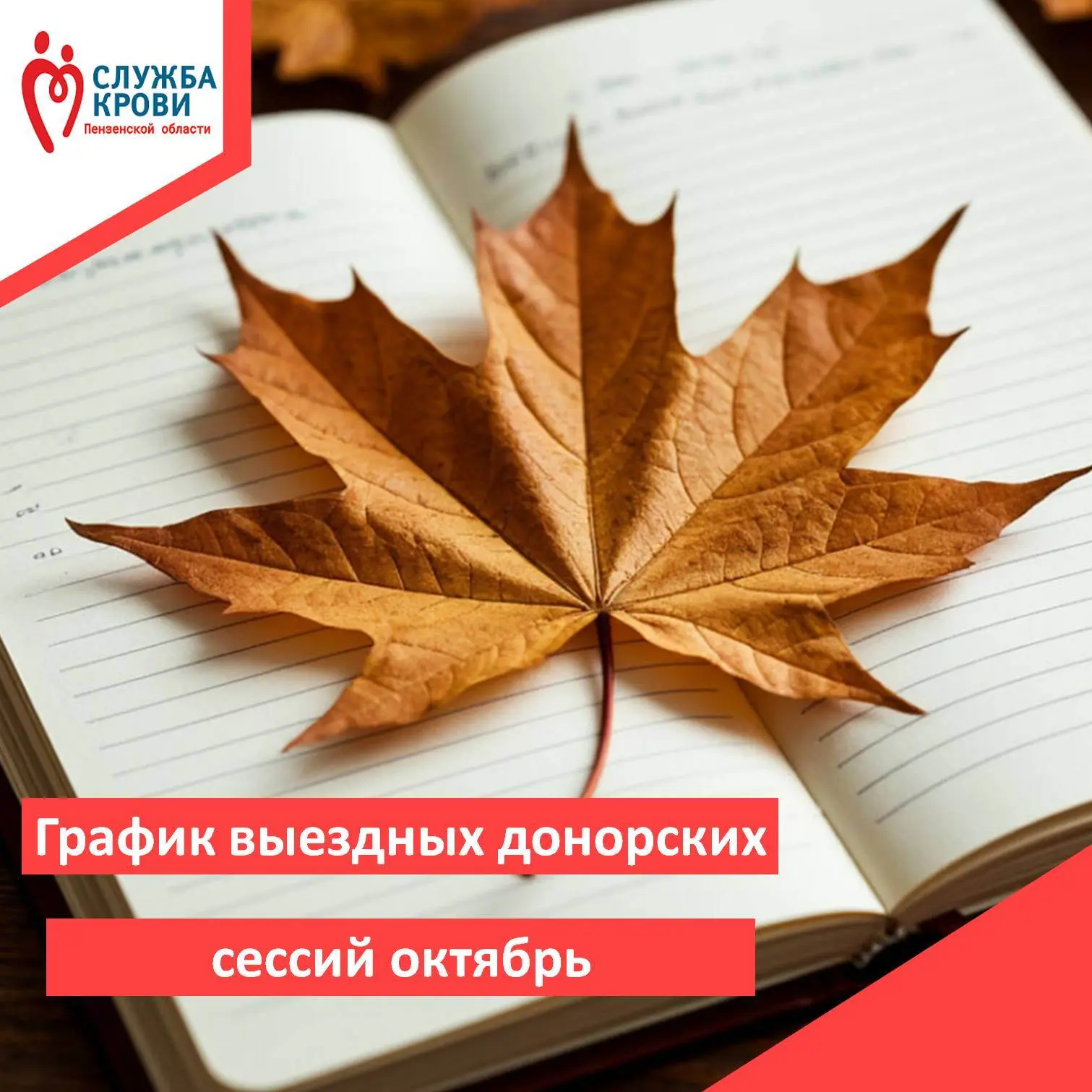 Уважаемые доноры!