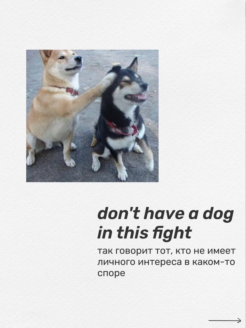 АНГЛИЙСКИЙ, КОТОРЫЙ НЕ ПЕРЕВЕДЁШЬ ДОСЛОВНО 🐶