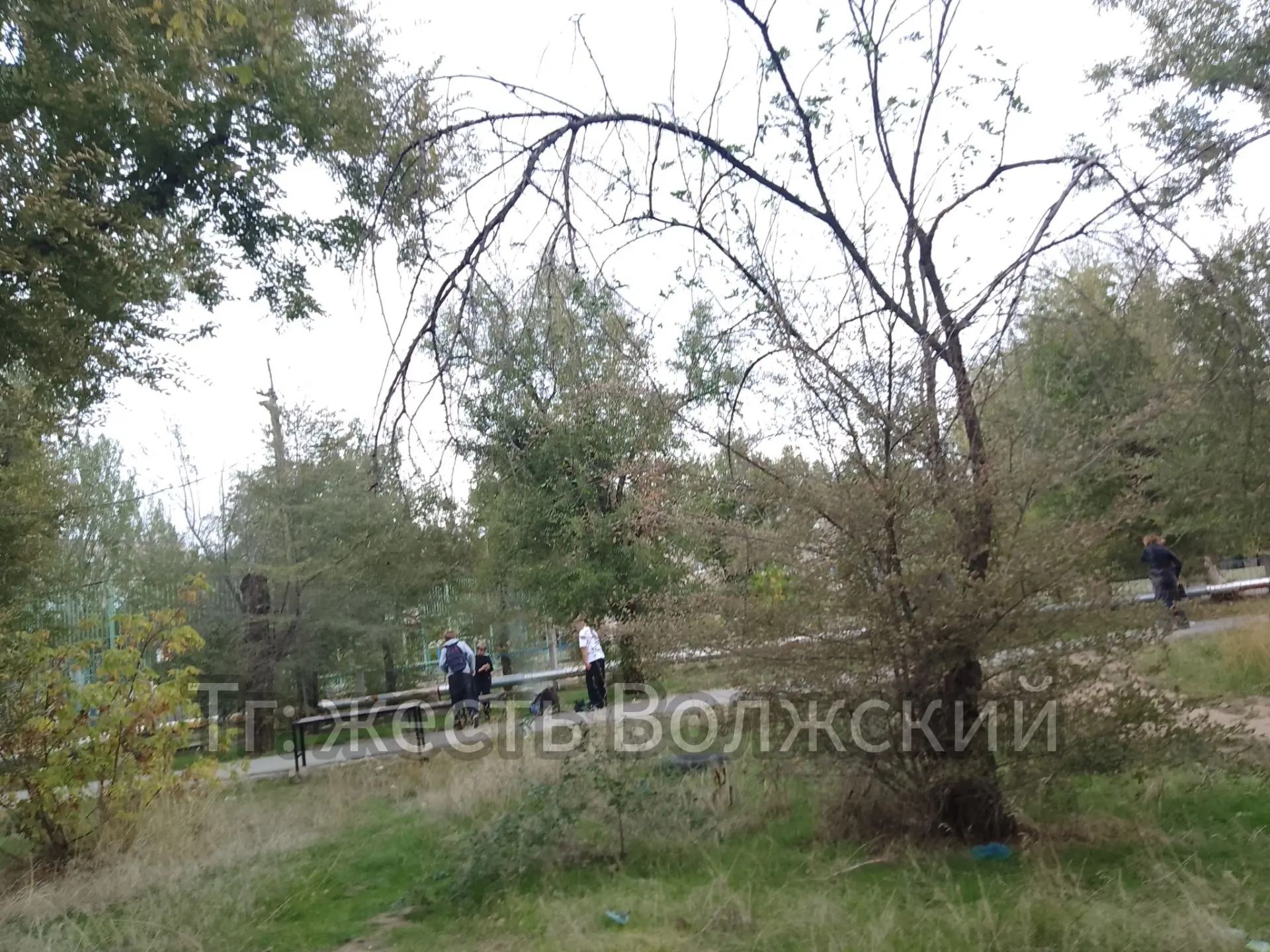 ⚠️ Детские шалости с огнём возле школы №24