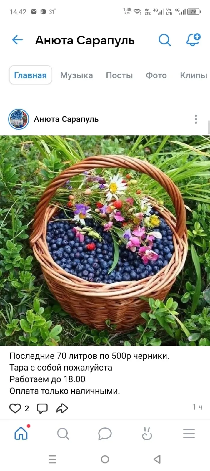 Черника всего 400р литр 🙌